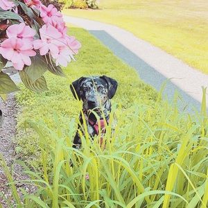 Meet your Posher, Kait